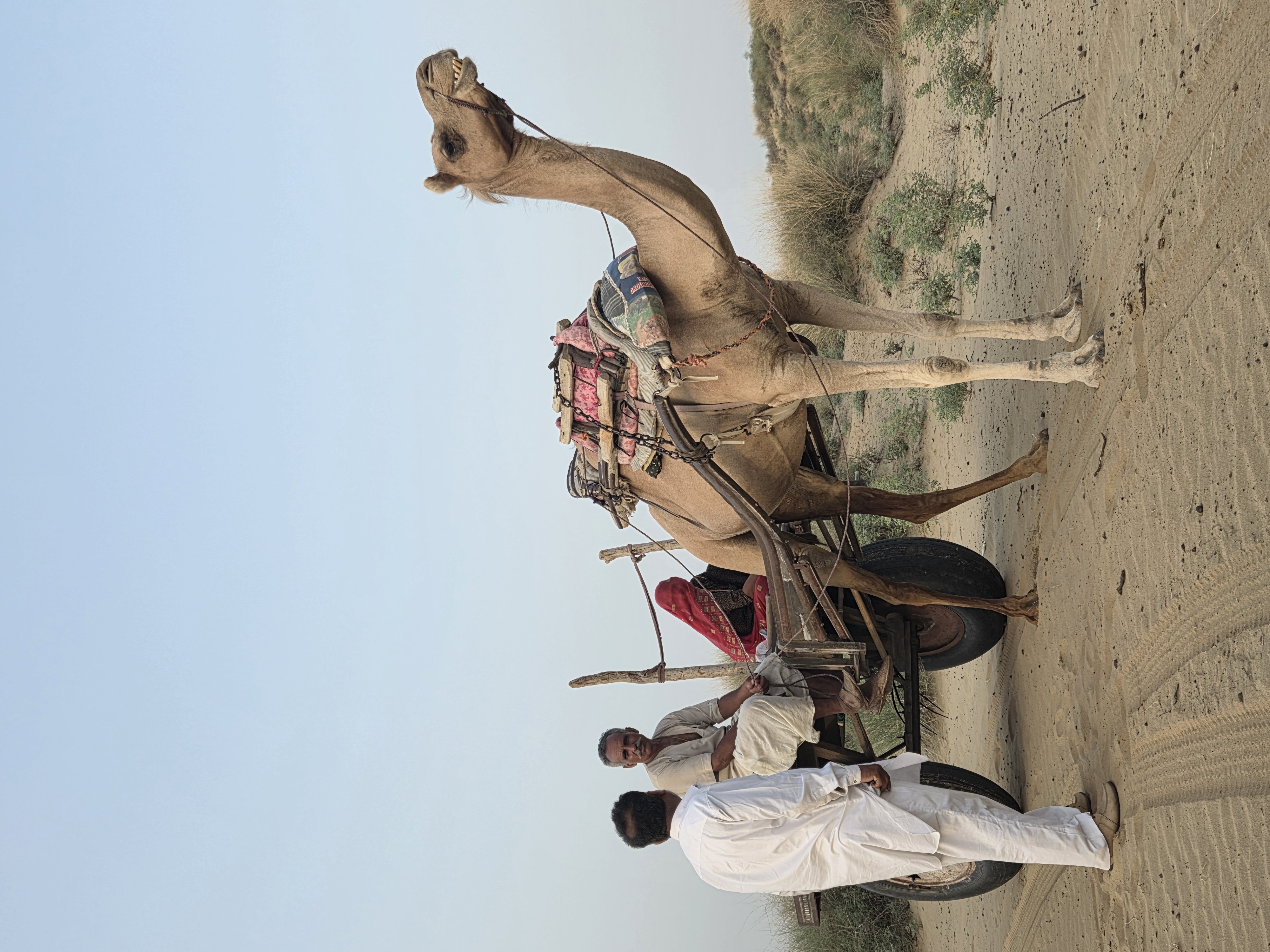 Le Pushkar Festival : une immersion au cœur du Rajasthan