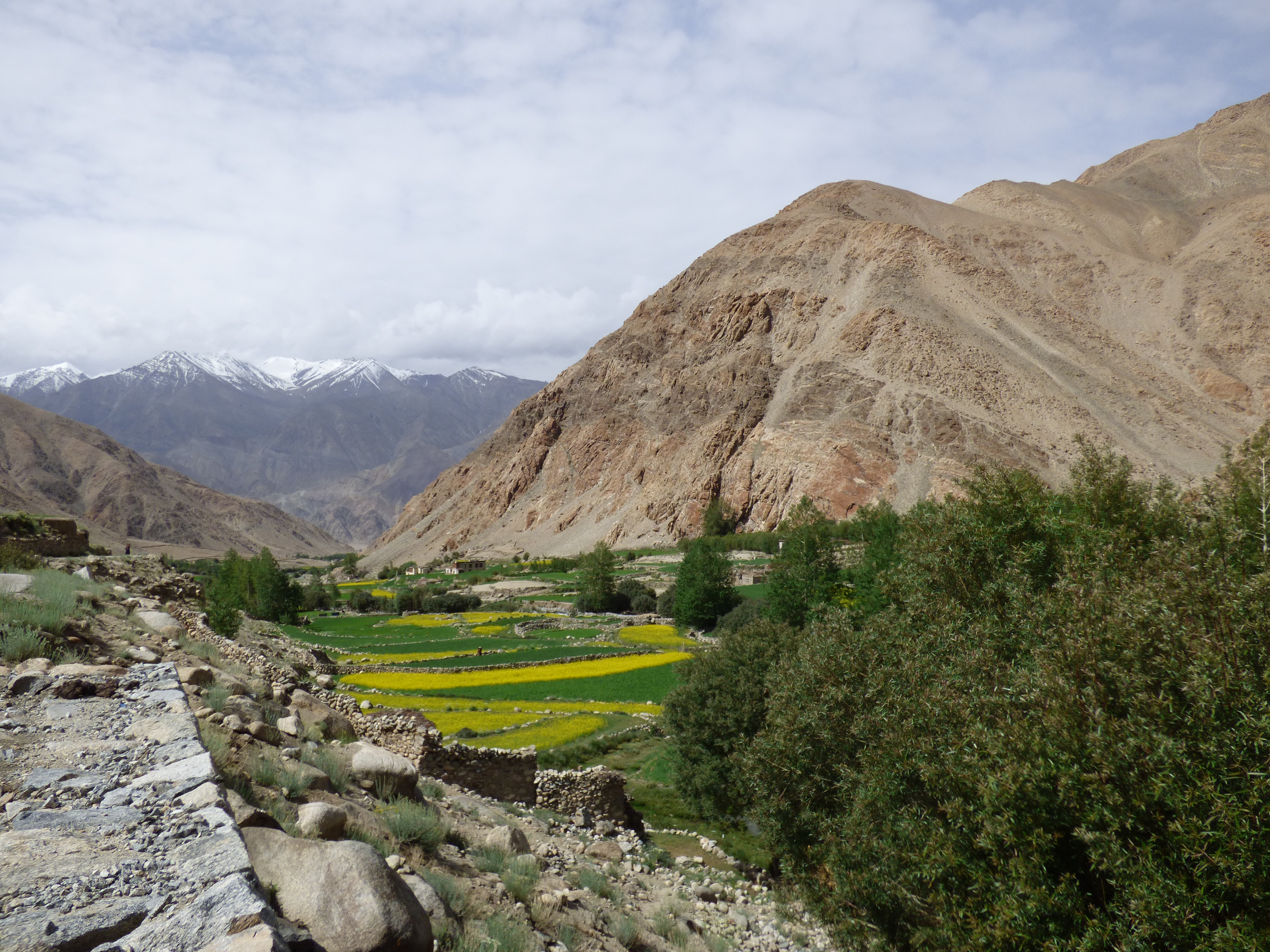 Séjour immersif dans la vallée de Shara, au cœur du Ladakh